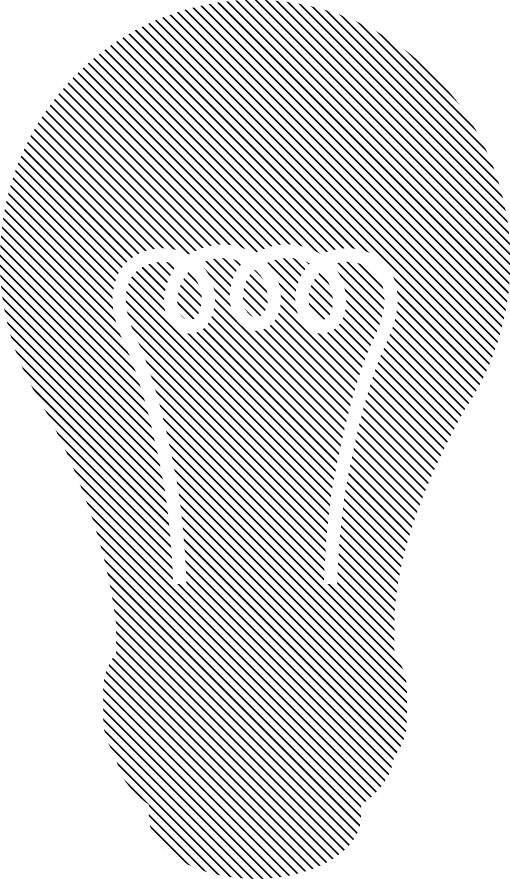 Polygon