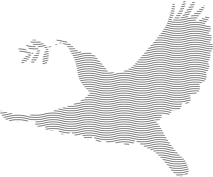 Polygon