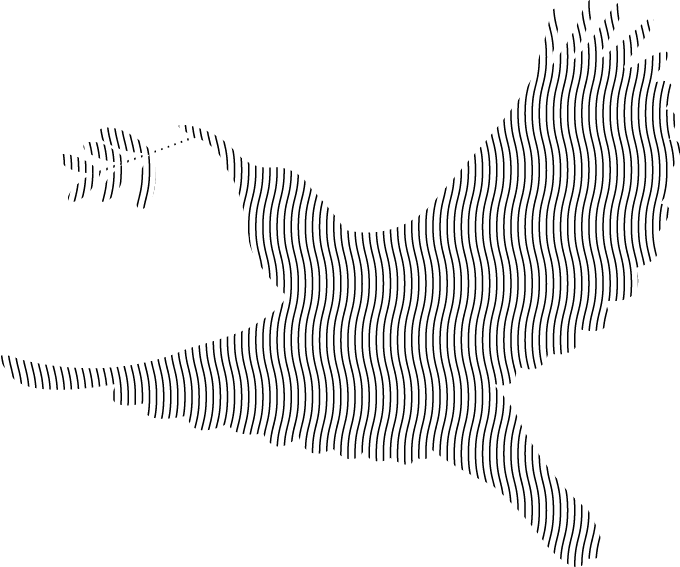 Polygon