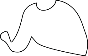 Polygon