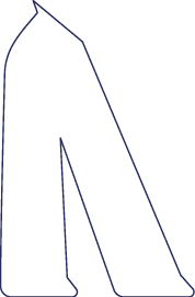Polygon
