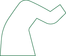 Polygon