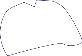 Polygon