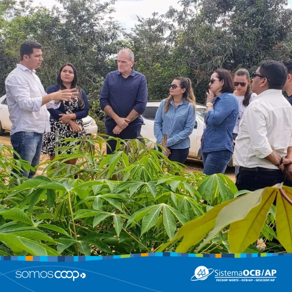 COOPERCEDRO promove Dia de Monitoramento do Projeto de Mandiocultura e apresenta resultados aos parceiros