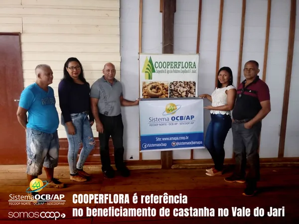 COOPERFLORA é referência no beneficiamento de castanha no Vale do Jari