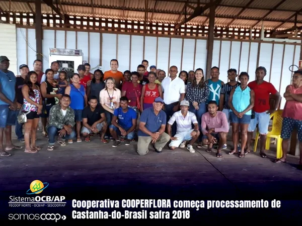 Cooperativa COOPERFLORA começa processamento de Castanha-do-Brasil safra 2018