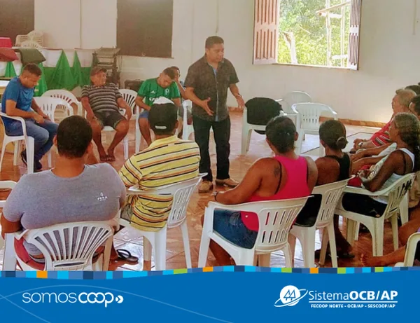 OCB-AP atua como parceiro em Projeto de Manejo Florestal na região do Maracá
