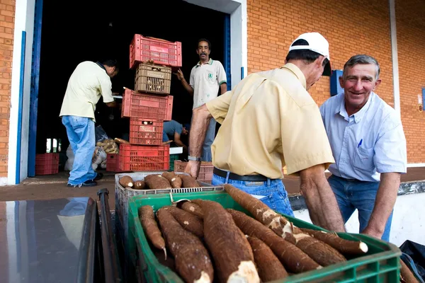 Inscrições para formação de estoques da agricultura familiar estão abertas