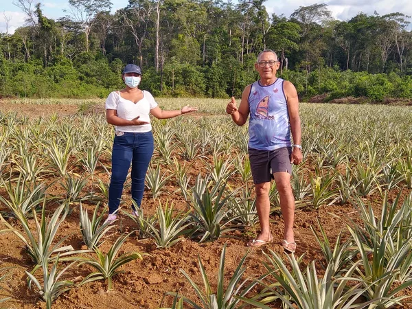 OCB-AP entrega cestas básicas à Cooperativa COOPERCEDRO